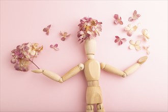 Wooden mannequin holding hydrangea flowers on pink pastel background. close up, isolated, spring,