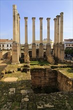 Columns of Roman temple remains, Templo Romano, Cordoba, Spain, Europe