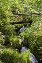 Geishöll waterfalls, Sasbachwalden, Ortenau, Black Forest, Baden-Württemberg, Germany, Europe