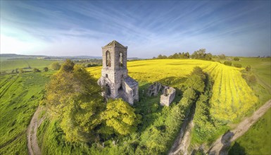 Agriculture, rape field, in full bloom, yellow, in it a church ruin, aerial view, AI generated, AI