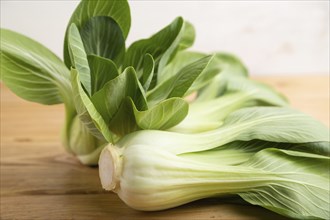 Fresh green bok choy or pac choi chinese cabbage on a brown wooden background. Side view, close up,