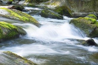 Fast flowing water flows over moss-covered stones, boulders, in a small river, rapids, rocks with