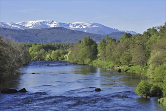 The River Spey near Aviemore and the Cairngorm mountains covered in snow, Badenoch and Strathspey,