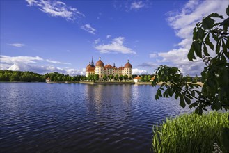 Moritzburg Castle, municipality of Moritzburg near Dresden, Saxony, Germany, Europe