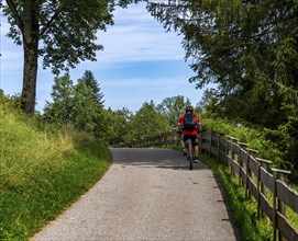 Cyclist on a circular route on Lake Tegernsee, Bavaria, Germany, Europe