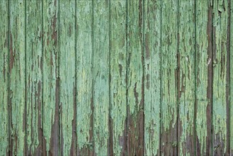 Old wooden door with peeling paint, texture, background, Münsterland, North Rhine-Westphalia,