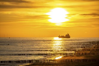 Sunset on the beach of Zoutelande, beach with wooden pile breakwaters, cargo ship sailing towards