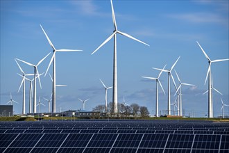 Vopak Solarpark Eemshaven, 19 hectares of solar modules with a capacity of 25 megawatts, around the