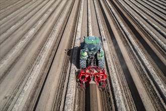 A farmer builds asparagus ridges on a field with the help of an asparagus tiller, in which the