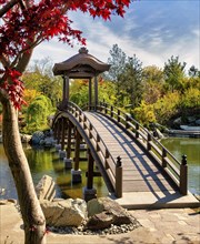 Japanese park, Krasnodar, Russia, Europe