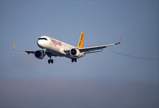 Pegasus aircraft approaching Frankfurt FRA airport, Fraport, in winter, Hesse, Germany, Europe