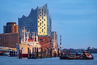 Port of Hamburg, museum ship Cap San Diego at the St. Pauli Landungsbrücken, Elbe Philharmonic