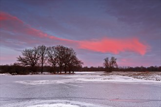 Winter floods 2024 on the Elbe and Mulde rivers with flooding of the meadows, ice on the meadows