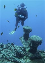 Diver on the upper deck, dive site wreck of the Thistlegorm, Red Sea, Egypt, Africa