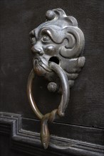 Lion's head, historical door knocker on a wooden door, Salem Castle, former imperial abbey, former