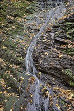 Dortebach valley in autumn, Dortebach stream flows over a sloping rock face, waterfall, Moselle,