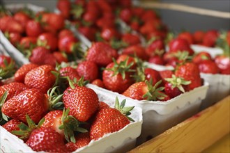 Fresh strawberries in the shop