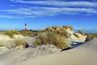 Amrum Island, landscape Germany, dune, dunes, grass, structure, form, vegetation, Amrum lighthouse,