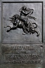 Beethoven monument, detail, commemorating the famous composer Ludwig van Beethoven, Muensterplatz,