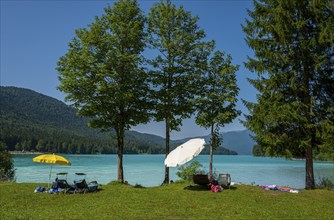 Bathing area with parasols on the shore of Lake Walchensee, Bavaria, Germany, Europe