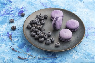 Purple macarons or macaroons cakes with blueberries on ceramic plate on a blue concrete background.