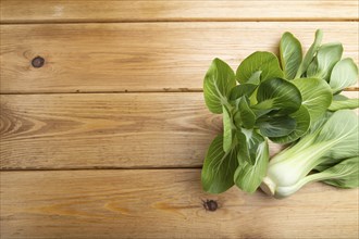 Fresh green bok choy or pac choi chinese cabbage on a brown wooden background. Top view, copy