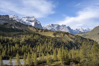 Mountain panorama with steep rocky peaks, yellow-coloured larches in autumn, view of Laliderspitze,