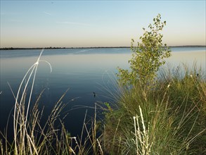 Eternal Sea, nature reserve, East Frisia, Germany, Europe