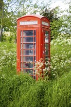 Traditional red telephone box in rural area becoming overgrown through lack of use, Wiltshire,