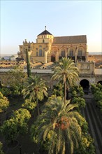 Raised angle view of Great Mosque, Mezquita cathedral, former mosque building in central, Cordoba,