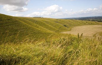 Steep chalk scarp slope and the Vale of the White Horse looking west from near Uffington castle,