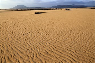 Sand dunes at Las Dunas natural park, Corralejo, Fuerteventura, Canary Islands, Spain, Europe