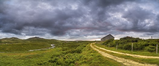 Path in the fell area near Lake Savalen, fell cabin, landscape shot, evening mood, Savalen, Tynset,