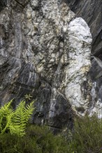 White quartz vein in rock face at the Ballachulish slate quarry in Lochaber, Highland, Scotland, UK