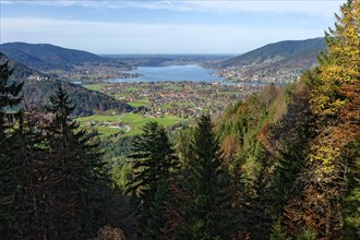 Rottach-Egern and Tegernsee, view over tree tops from Wallberg, Mangfall mountains, Bavarian