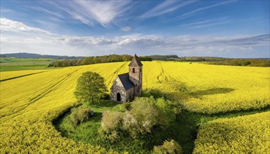 Agriculture, rape field, in full bloom, yellow, in it a small church, aerial view, AI generated, AI