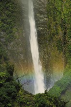 Humboldt Falls with rainbow, Hollyford Valley, Fiordland National Park, South West New Zealand