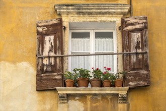 Weathered house facade, windows with weathered shutters, flower pots with geraniums, Piran,