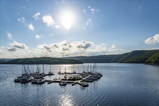 Lake Rursee, reservoir in the Eifel National Park, north-east bank near Heimbach, near the Rur dam