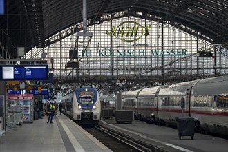 Cologne Central Station, trains at the platforms, Cologne, North Rhine-Westphalia, Germany, Europe