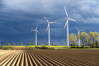 Wind turbines on a rape field, dark rain clouds, in the Rhenish lignite mining area, near