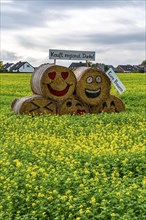 Advertising for regional purchasing, from farmers in the region, straw bales in a rapeseed field