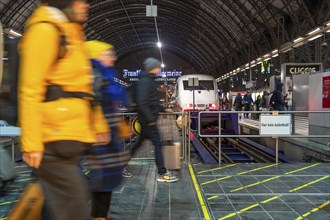 Frankfurt am Main main station, ICE train on platform, traveller, Hesse, Germany, Europe