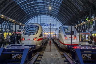 Frankfurt am Main main station, ICE trains, Hesse, Germany, Europe