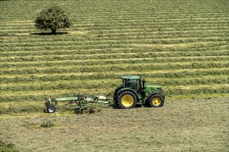 Hay harvest, in a meadow near Duisburg-Baerl, tractor with roundabout tedder, a hay tedder that