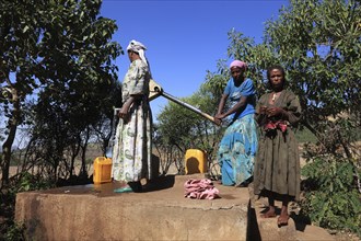 Amhara region, locals fetching water from a well, Ethiopia, Africa