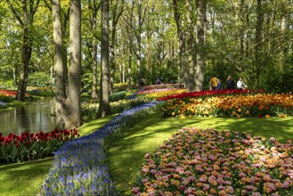 The Keukenhof, gardens, amusement park, spring park, spring flower show, near Lisse, South Holland,