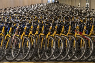 Bicycles at the OV-Fiets rental station, at Utrecht Central Station, hundreds of rental bikes