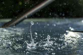 Drops of water hit the water surface