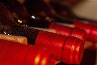 Wine cellar with red wine bottles